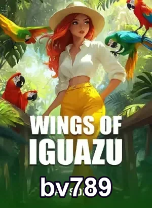 Usuário completando cadastro seguro na bv789